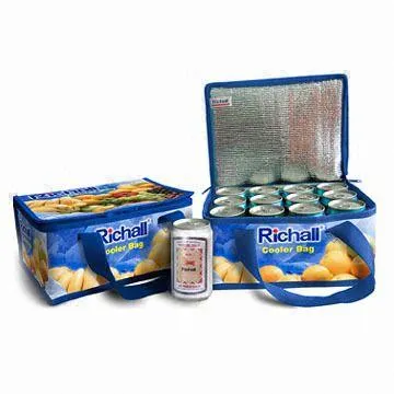 Proizvedeno u Kini prilagoditi ispis vruće prodaja jeftini Veleprodajna cijena Eko Friendly promotivni Logo može hladnjak torba