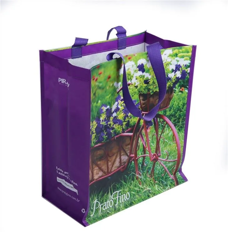 Laminirane torbe za kupovinu